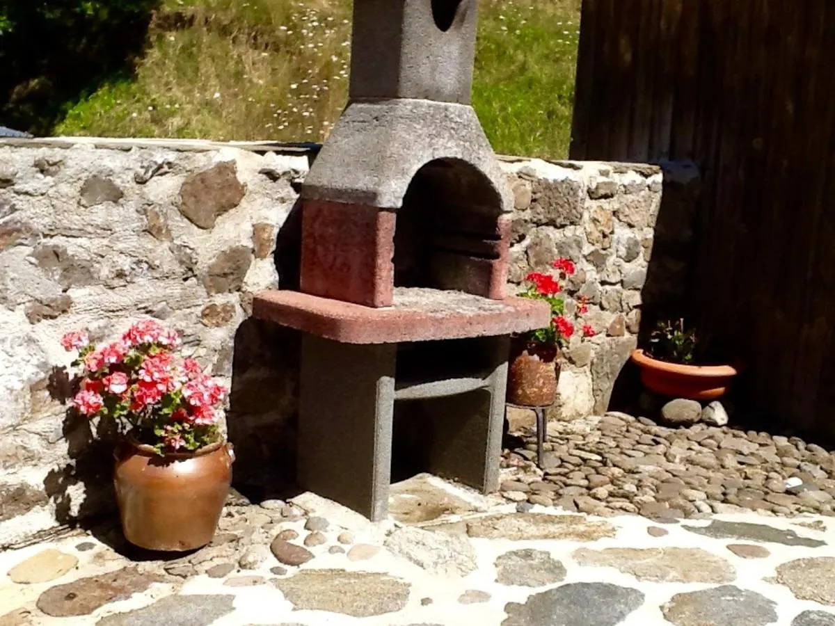 Maison De Caractere A Thiezac, 10 Pers, 5 Ch, Terrasse, Jardin, Ski A Proximite - Fr-1-742-385 Vakantiehuis