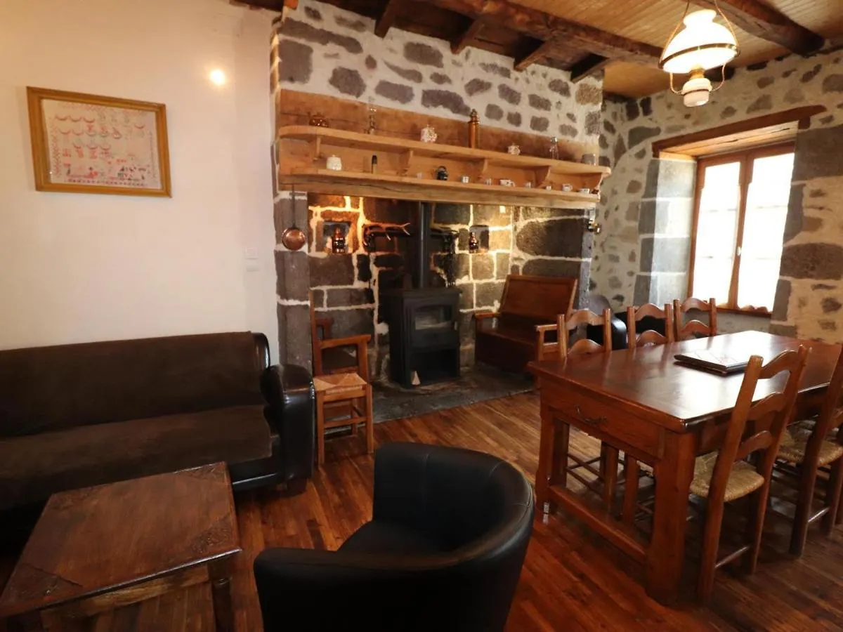 Maison De Caractere A Thiezac, 10 Pers, 5 Ch, Terrasse, Jardin, Ski A Proximite - Fr-1-742-385 Thiezac
